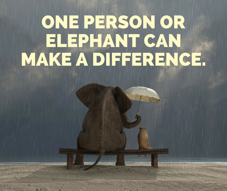 ONE PERSON CAN MAKE A DIFFERENCE